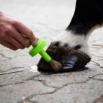 Moisturise with Ule Hoof Oil