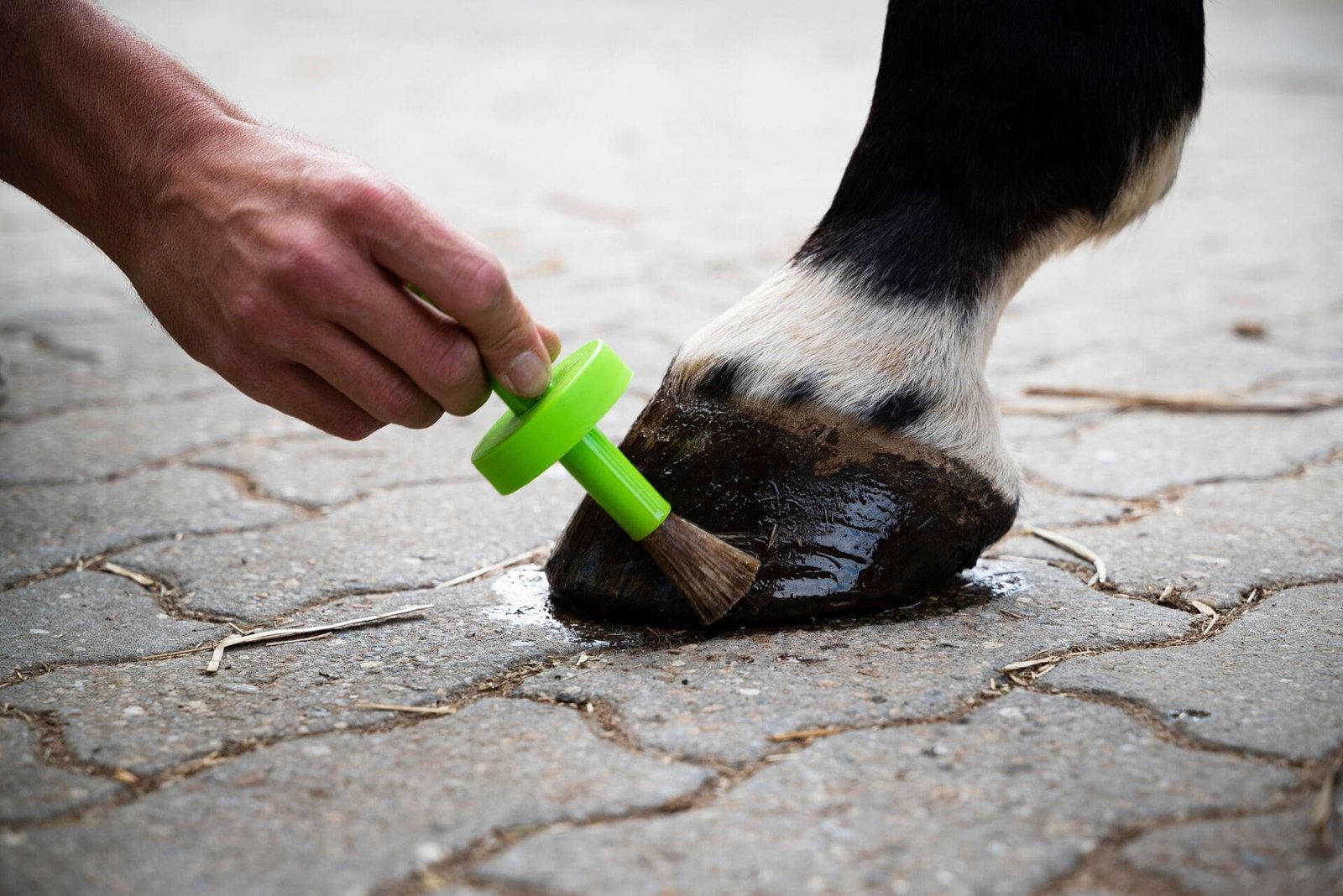 Ule Hoof Oil Product